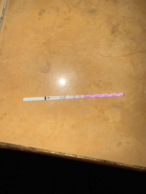 OPK high after miscarriage