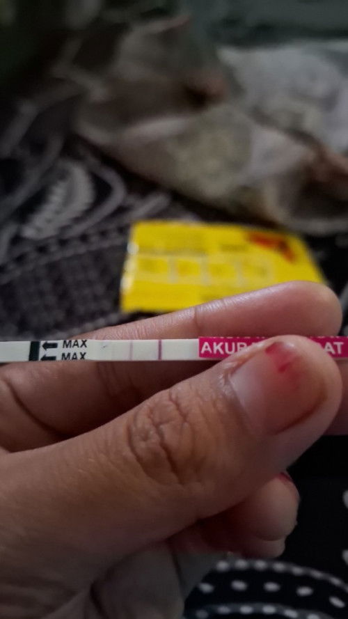 Ka mau tanya terakhir haid tgl 30 maret trs tdi sore tes hasil nya seperti ini