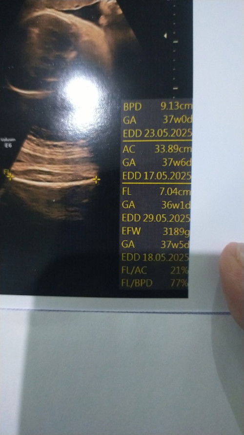 hpl 25 mei,,,