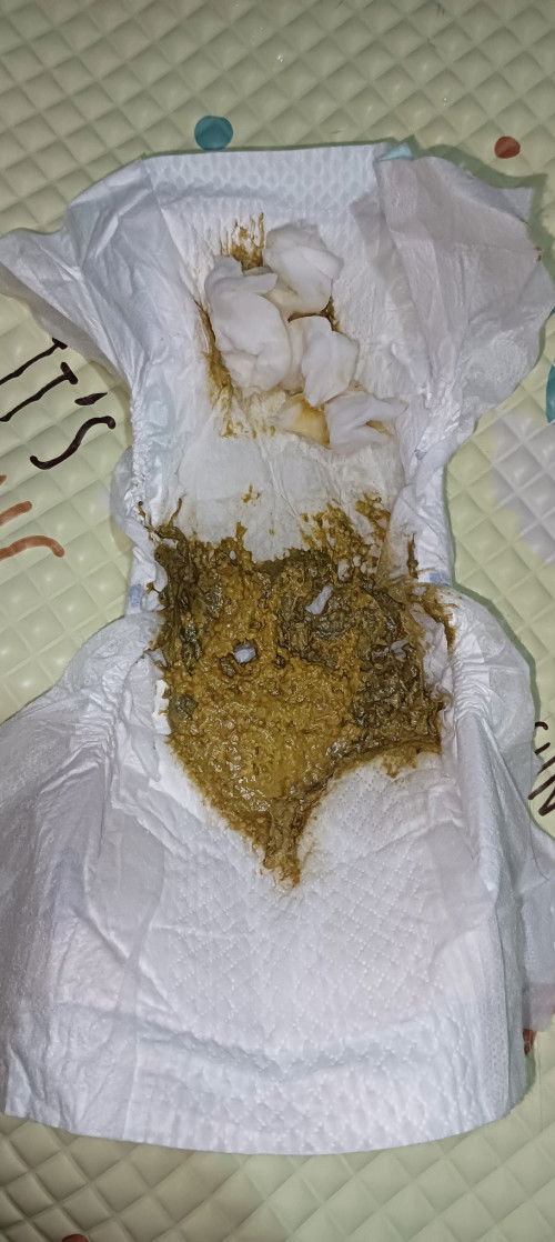 pup si kecil berwarna kuning kehijauan