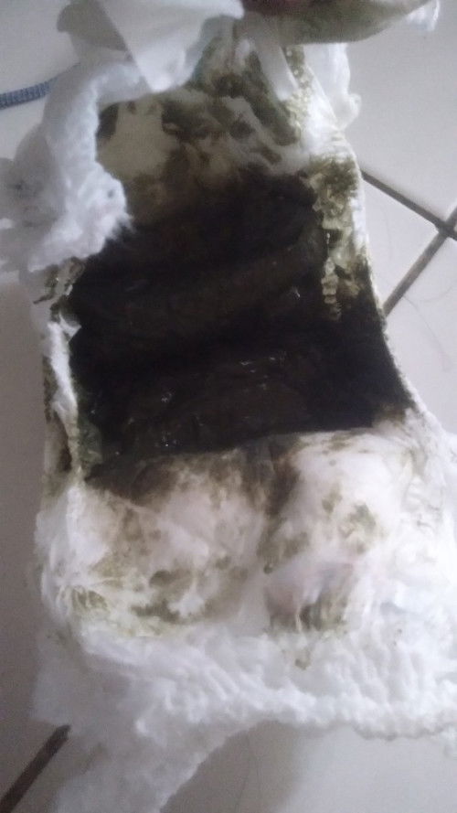 Tolong Bantu Beri Penjelasan