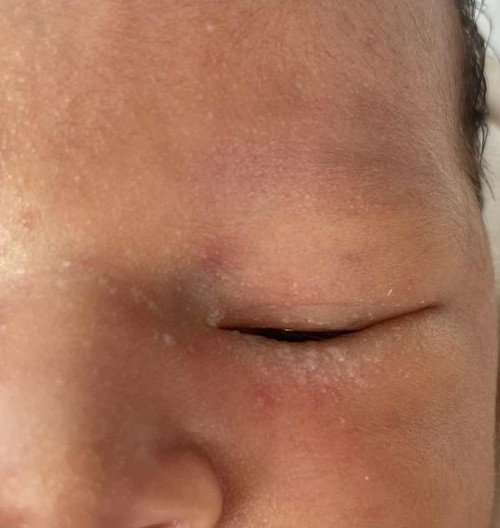 อายุน้อง 7วัน