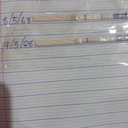 ตรวจไข่ตกครั้งแรก