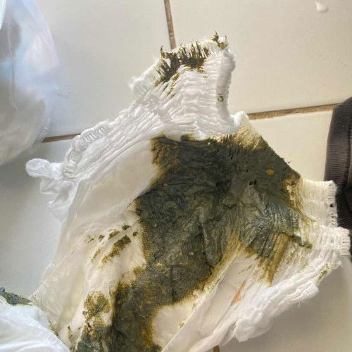 Pup bayi warna hijau tua