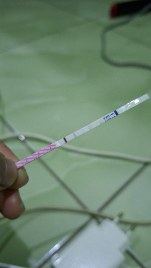 Keguguran.
bunda mau tanya, aku hpht 27maret, awal mei kemarin periksa ke bidan.