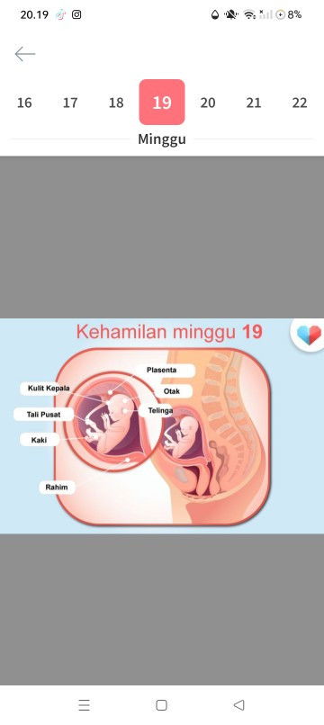 Kedutan pada perut bagian bawah