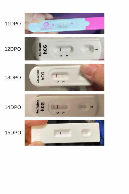 TTC second child