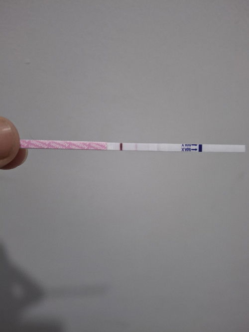 Mam hpht ku 12 april,
Tespek hasil nya samar,