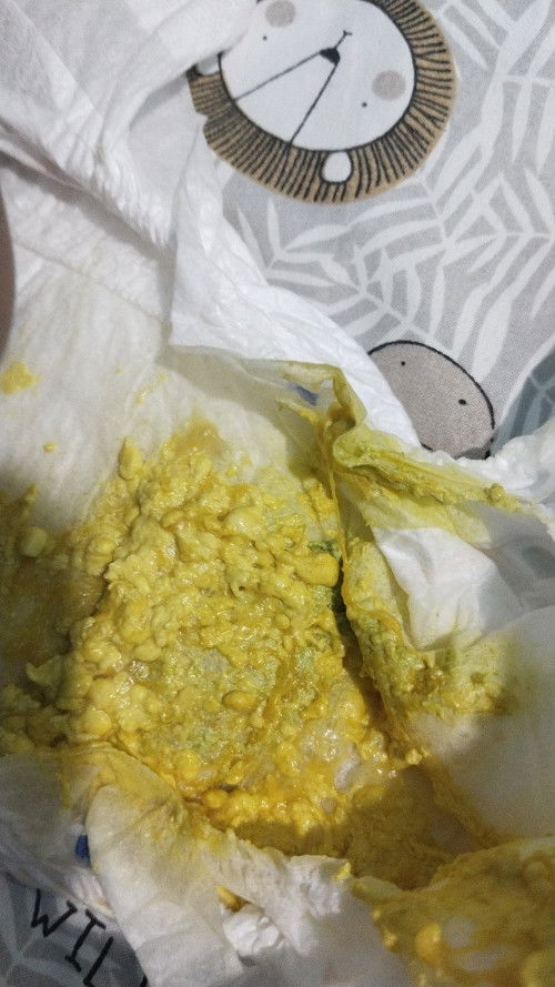Pup bayi 1.5 bulan