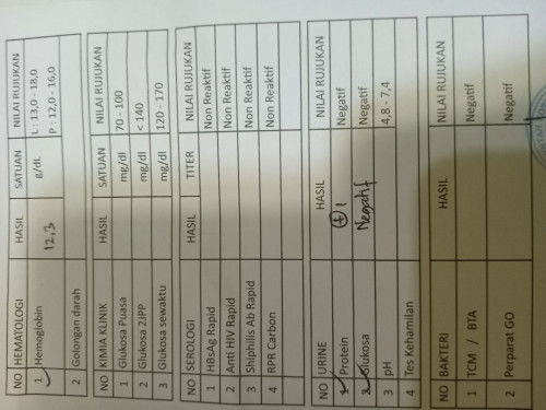 Tes leb tm 3
