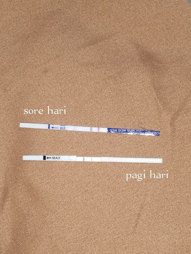 Mau tanya ni mom. Pagi tadi tes aga buram sore harinya jelas bnget garis 2. Apa beneran hamil kah?