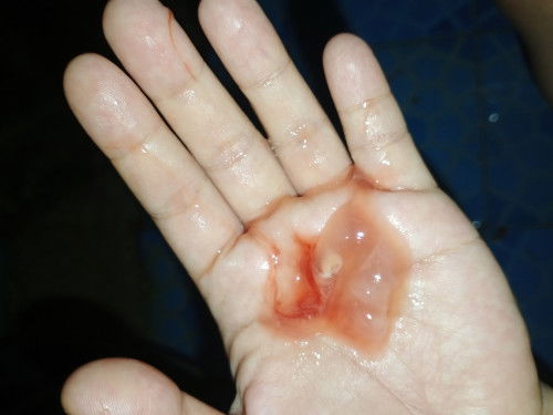 Hallo bun, maaf fto nya ya hhee