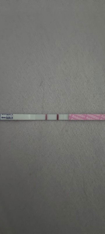 hpht 17 april hasil cek garis 2 udah terang bgt