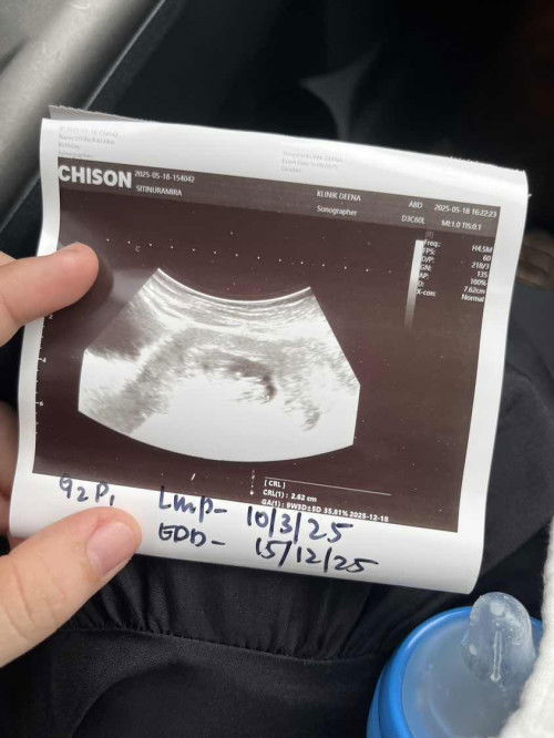 pregnant twin