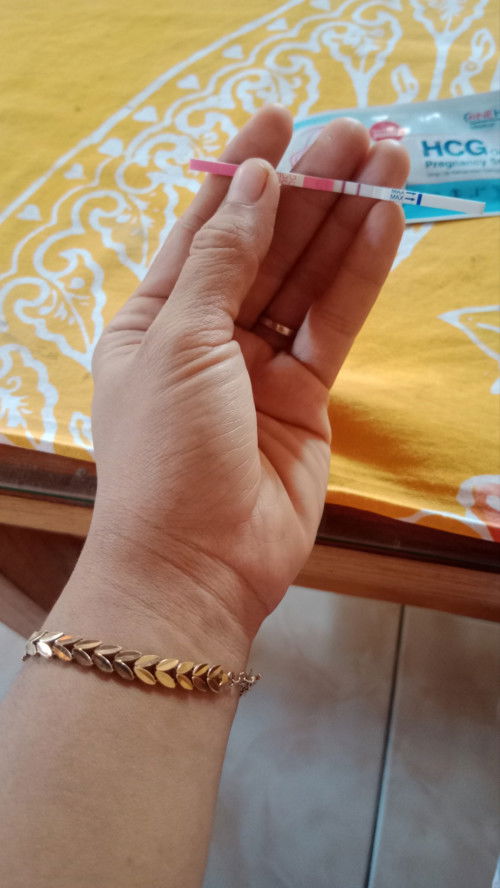 Saya men bulan lalu tgl 14 april
Bulan ini di tespek hamil sekarang sudah tgl 20 Mei