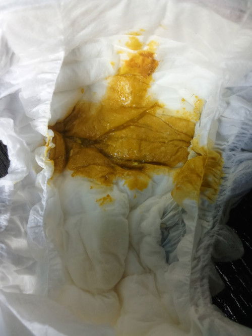 Pup bayi kuning kehijauan