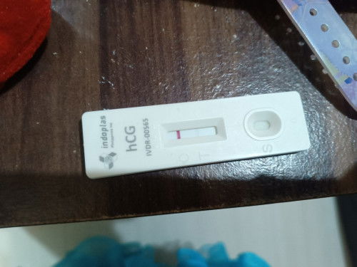 Hi po. Question lng po. May faint line po kasi akong nakita sa pt ko. And di pa po magstart mens ko.