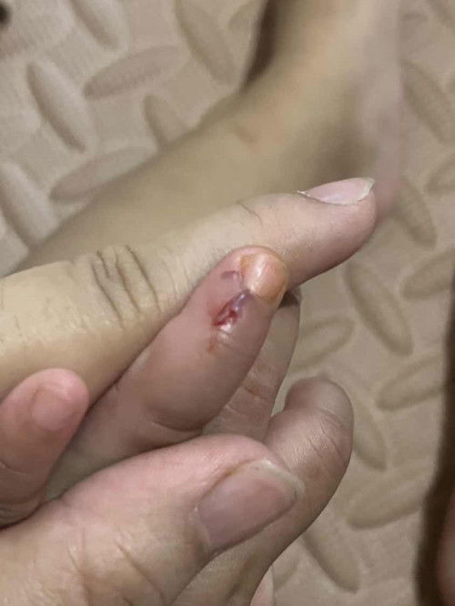 Electric Fan Cut