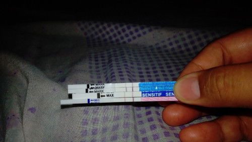 Hpht 19 April tp transvaginal cuma penebalan dinding rahim . Aku hamil ga ya Bun ?