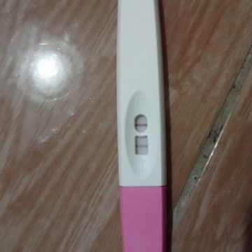 Bertanya tentang tespeck