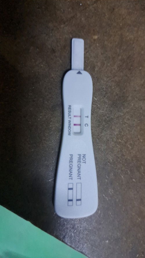Pregnancy