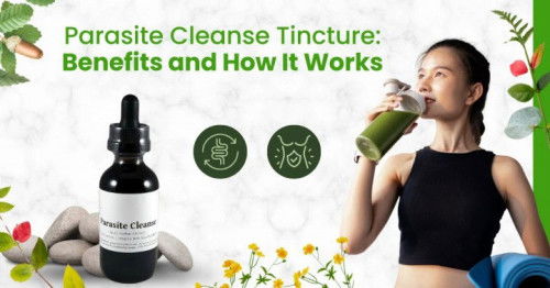Parasite Cleanse Tincture: Benefits and How It Works