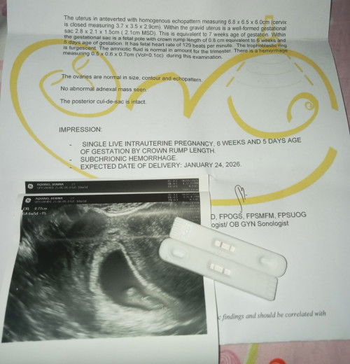 6 weeks preggy