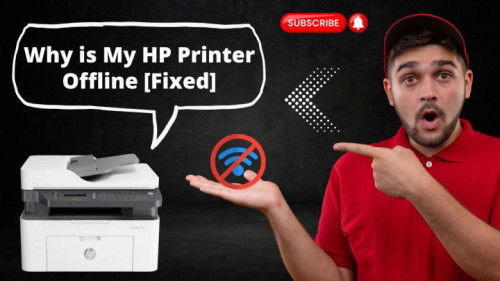 Why is My HP Printer Offline