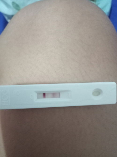 Pregnancy test