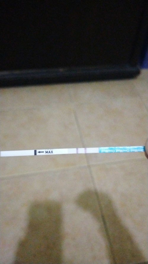 Belum telat haid tp sudah testpack