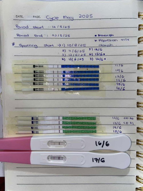 Confirm pregnant ke kalau macam ni?