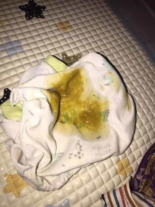 warna dan tekstur pup