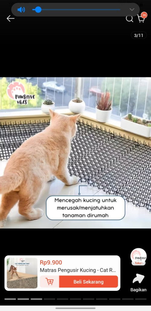 Post reply image