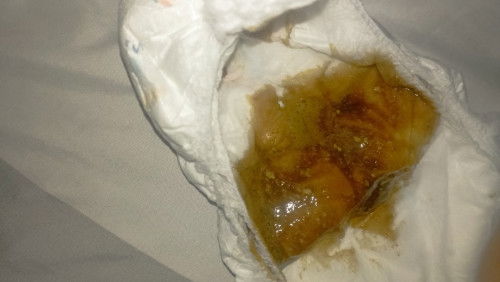 Pup hijau tua kemerahan