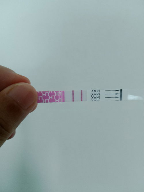 Opk positif?due period 2day