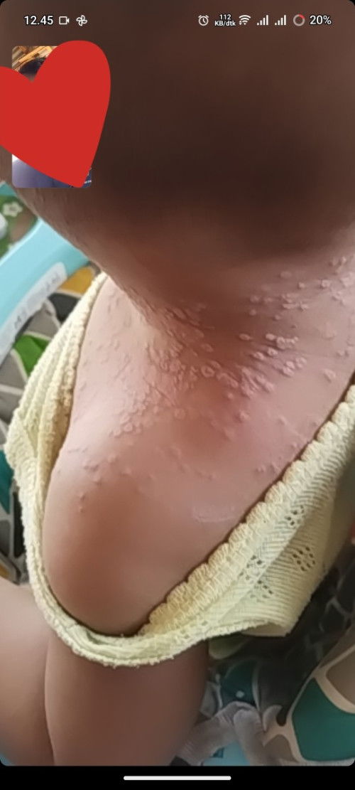Anakku umur 9bulan