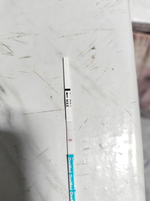 Apa ini positif hamil?