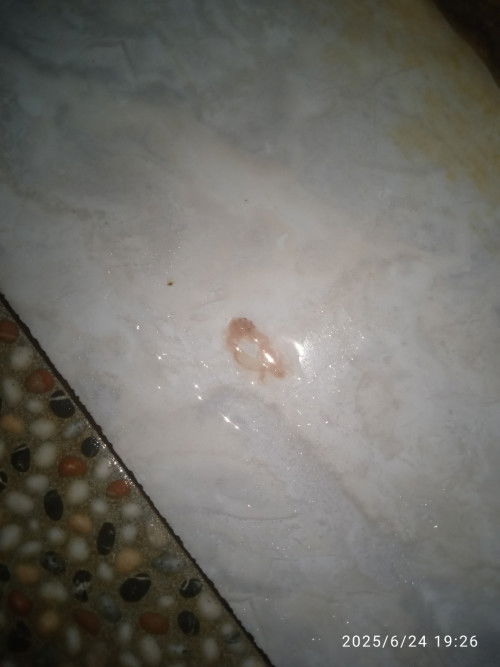 Ini apa ya Bun?