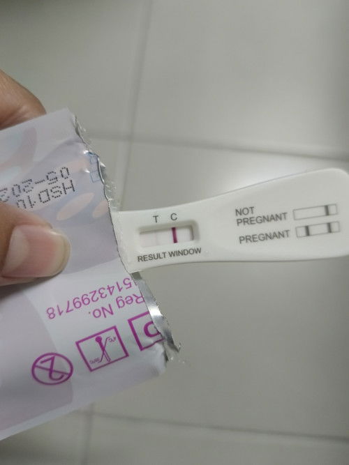 Pregnant ke?