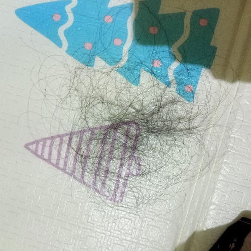 rambut rontok selama asi eksklusif