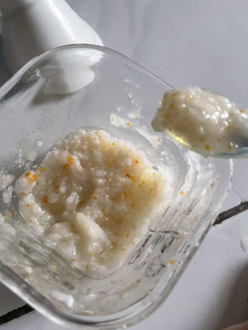 Bubur organik