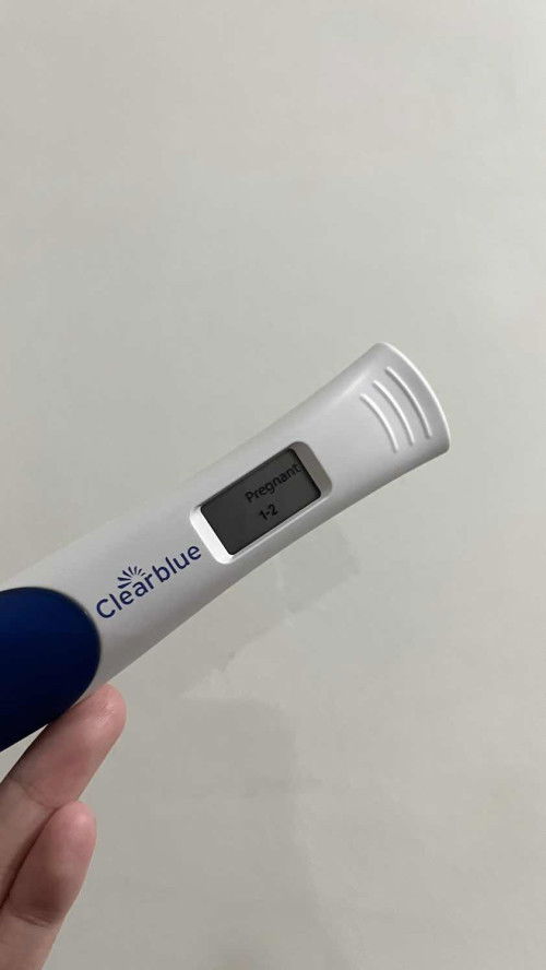 Pregnant tapi negative?