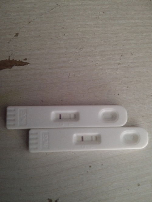 Early pregnancy