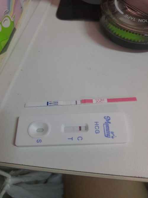 เริ่มฝากท้องกันตอนกี่วีคค่ะ