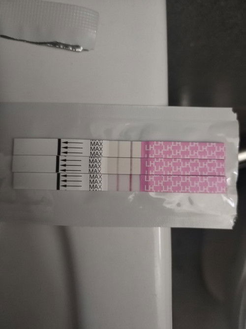 Opk terang sebelum due period