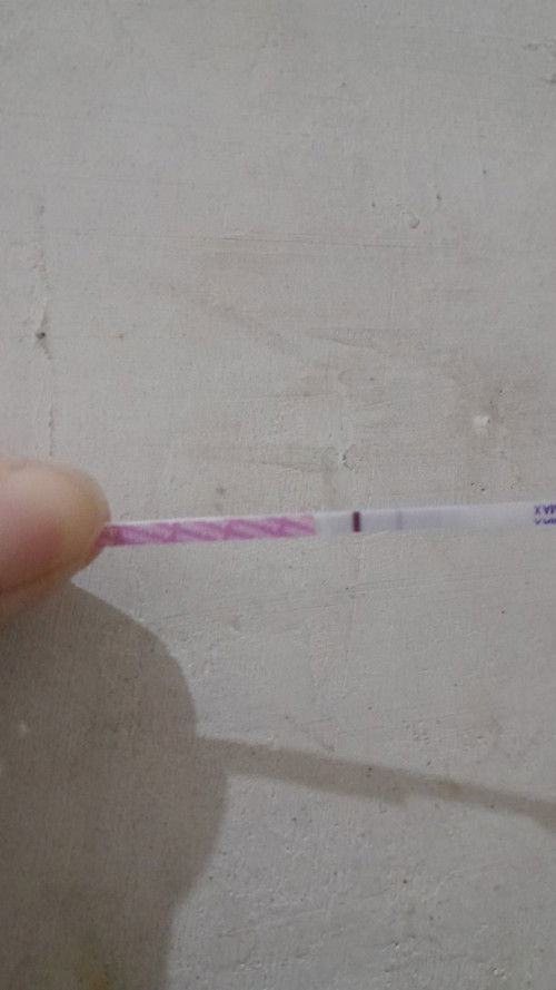 Apakah seperti ini hamil?