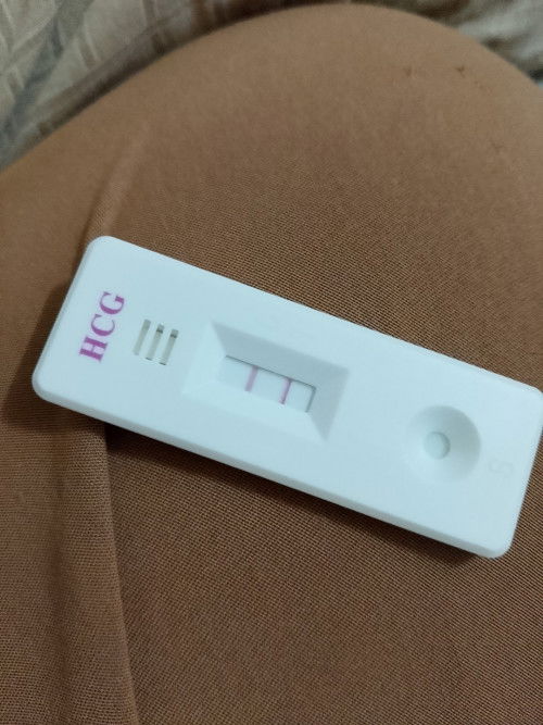 Baby February 2026