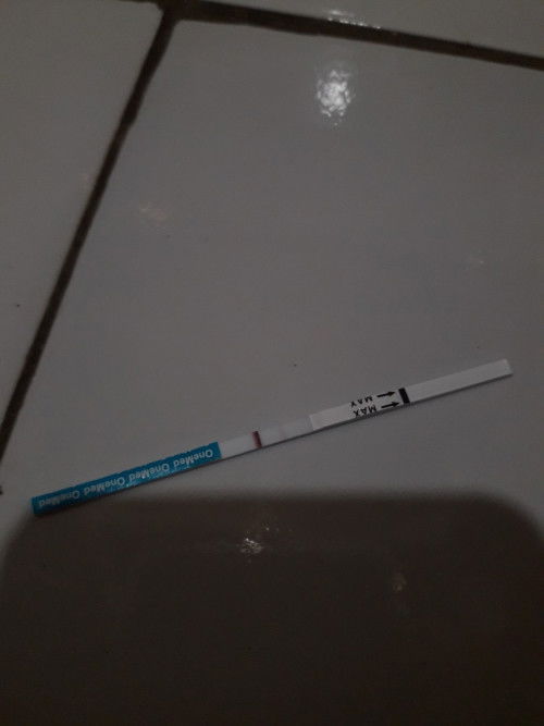 Hamil bukan???