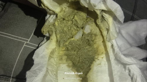 Hajis baby warna hijau kuning