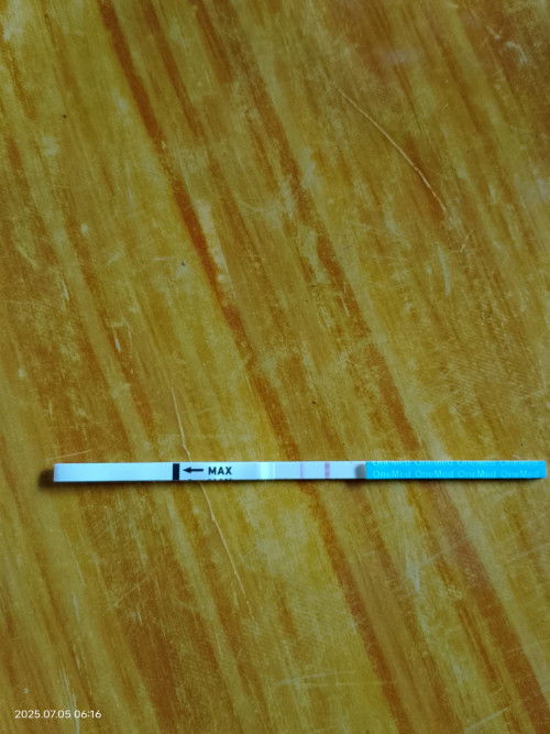 Kemarin tespek hasilnya samar bgni, tidak ada rasa² ngidam juga, ini positif hamil kan ya?
